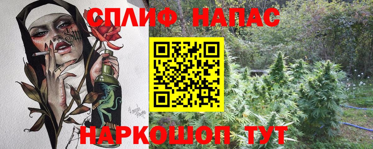 Каннабис White Widow  Вход с VPN  Звенигород  Бошки Шишки план  Бошки Шишки White Widow 